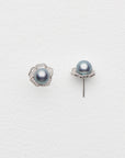 Atera Rasine Akoya Pearl Earrings